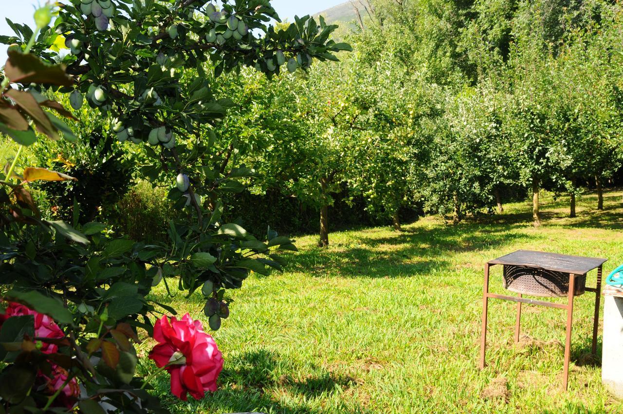 Guest House Marković Budva Extérieur photo